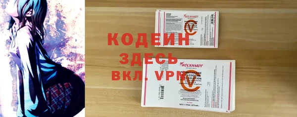 индика Белокуриха