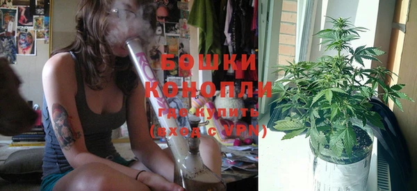 индика Белокуриха