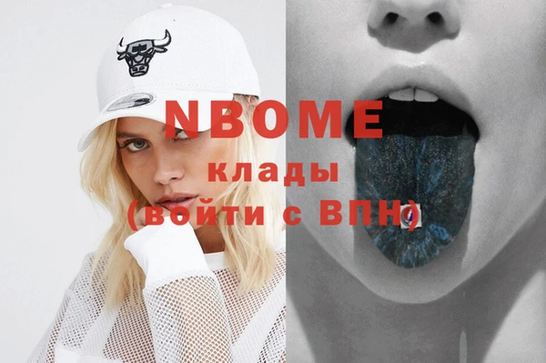 индика Белокуриха