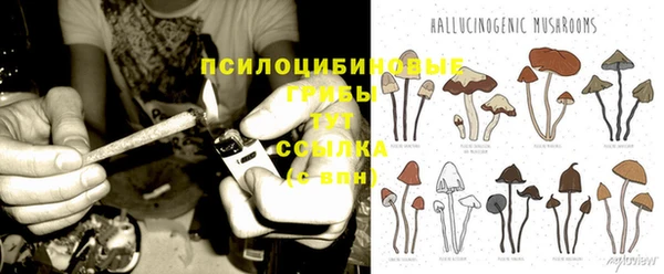 индика Белокуриха