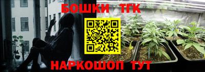 молекула духа Можайск