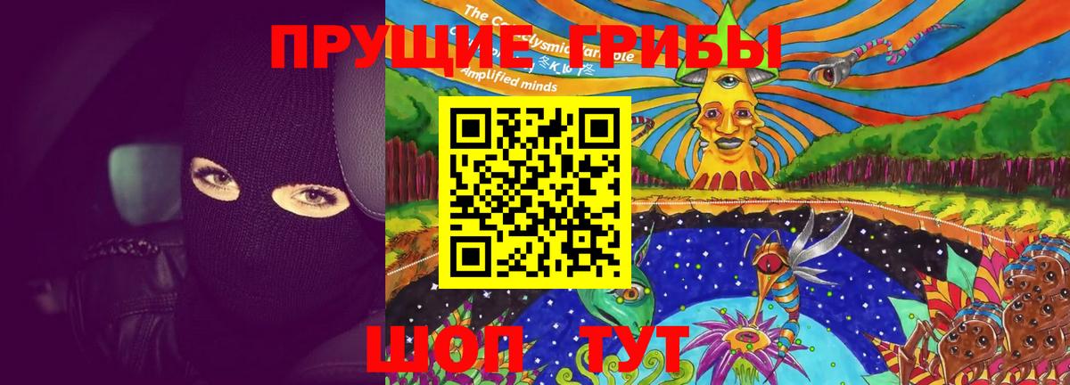 Галлюциногенные грибы GOLDEN TEACHER  Вход с VPN  Реутов 