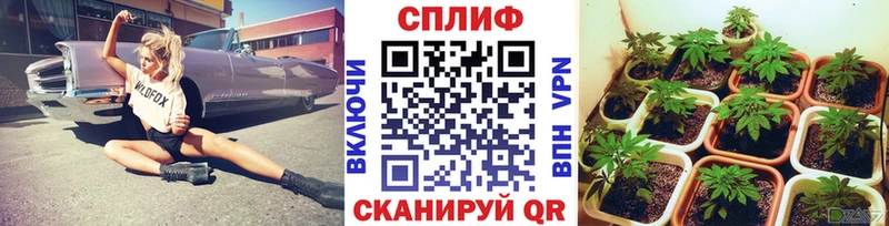 даркнет формула  Реутов  МАРИХУАНА планчик 